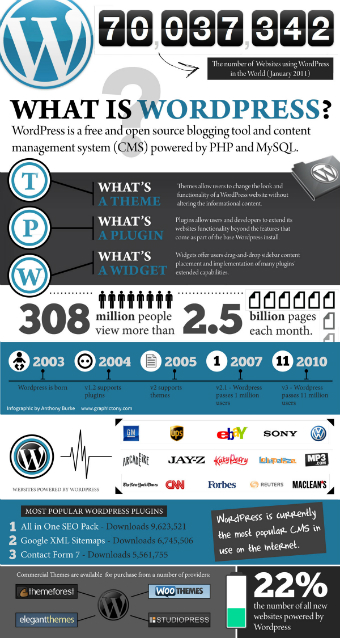 Wordpress Infographic Thumbnail