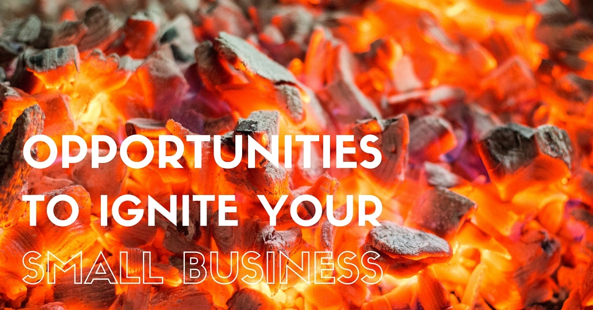 small business marketing opportunities