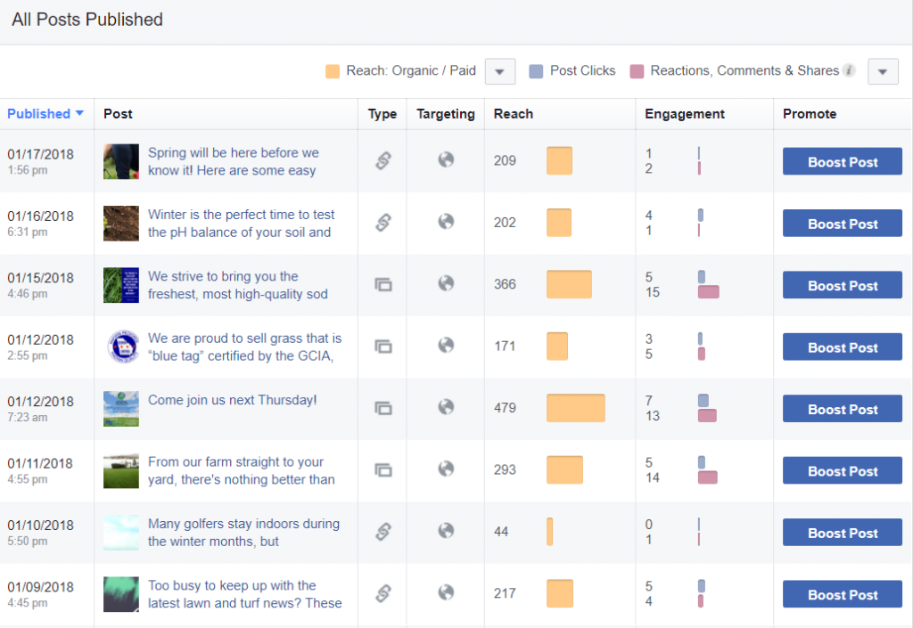 Insights - All Posts Published